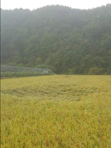 단양 가볼만한 곳