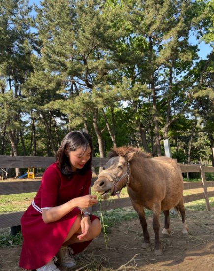 남해양떼목장 양모리학교2