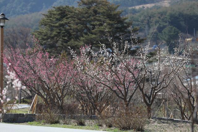 국립 백두대간수목원