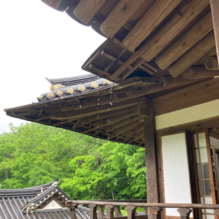 순천전통야생차체험관