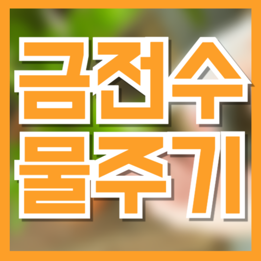 금전수 물주기 방법! 잎이 탱탱하게 자라는 관리 비결!