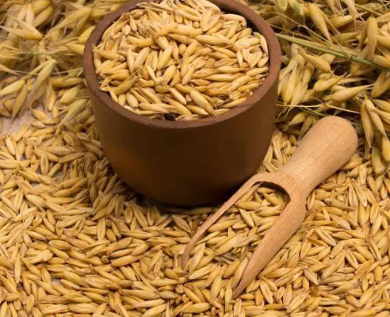 갱년기좋은음식