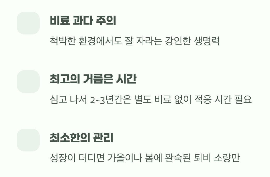 3. 과한 사랑은 금물, 느긋한 기다림의 미학