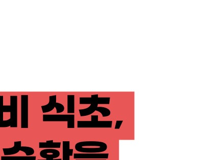 애사비 식초 효능