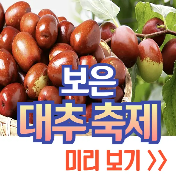 보은 대추축제