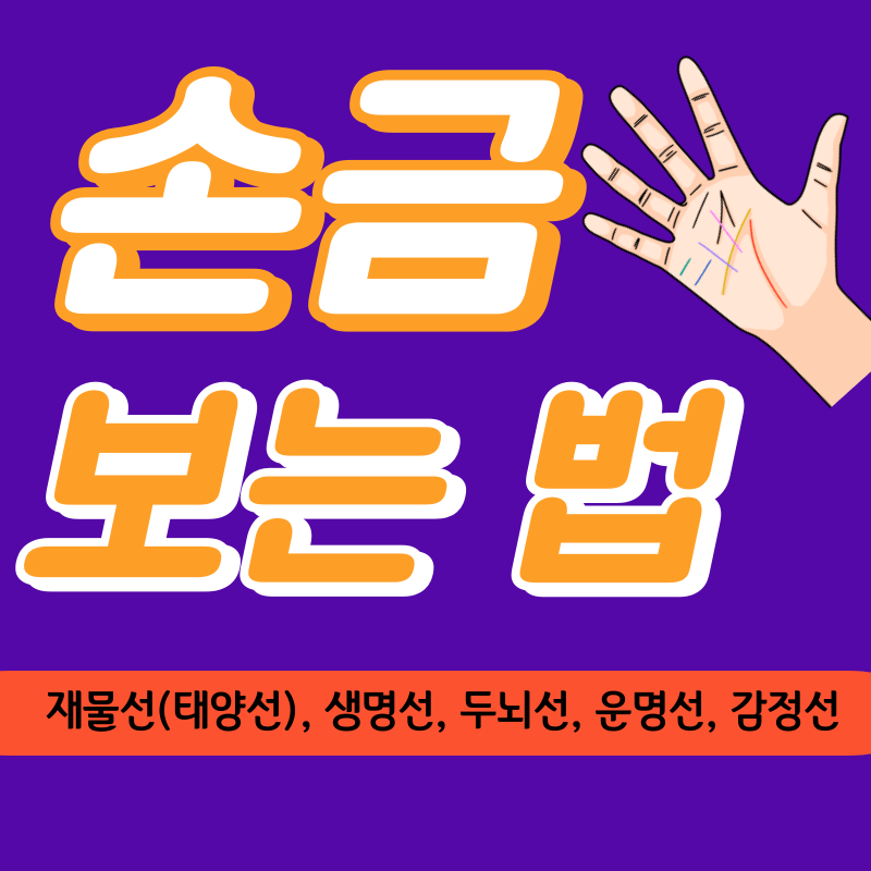 손금 보는 법(생명선,감정선,운명선,두뇌선,재물선 5가지)