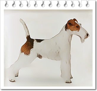 안녕soni