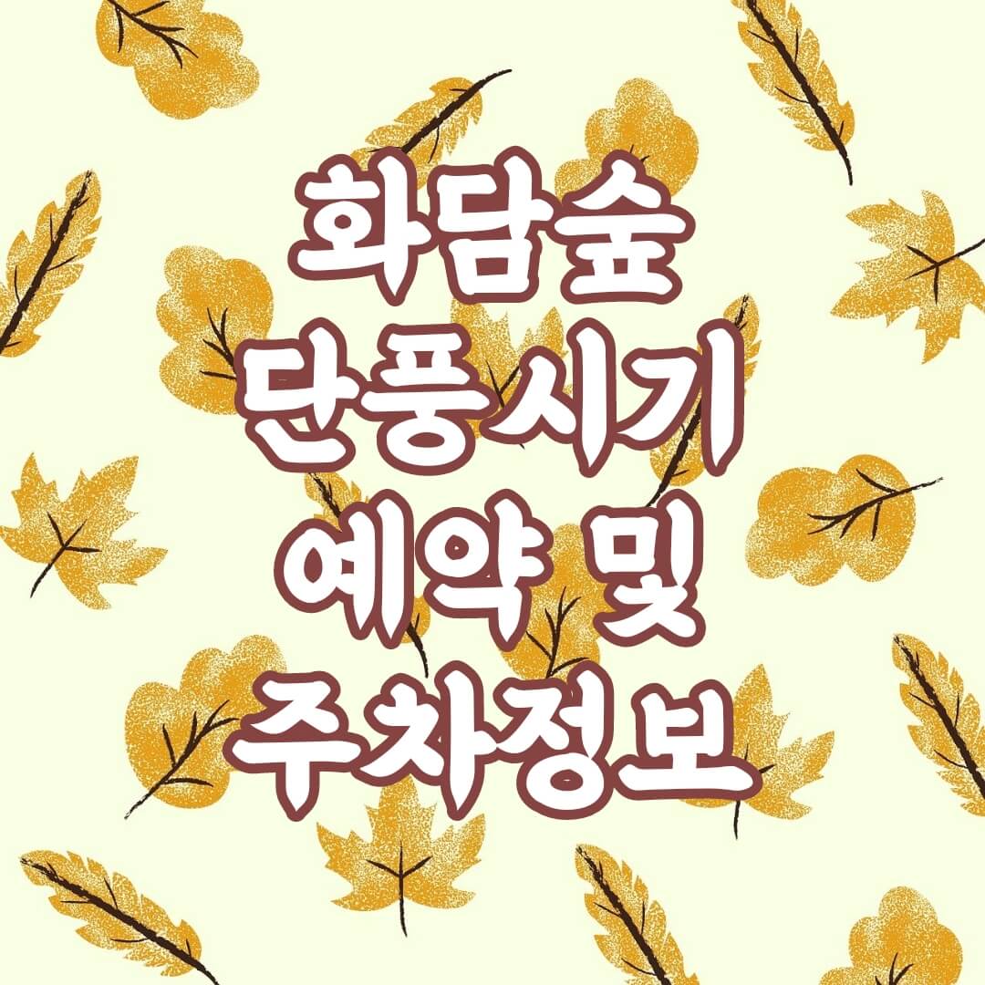 화담숲 단풍