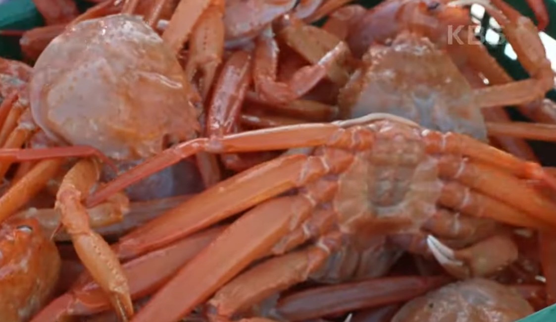 6시내고향 포항 홍게 수요일엔수산물 금방 잡아 올린 홍게