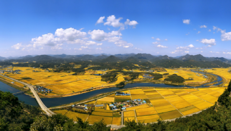 채계산 출렁다리