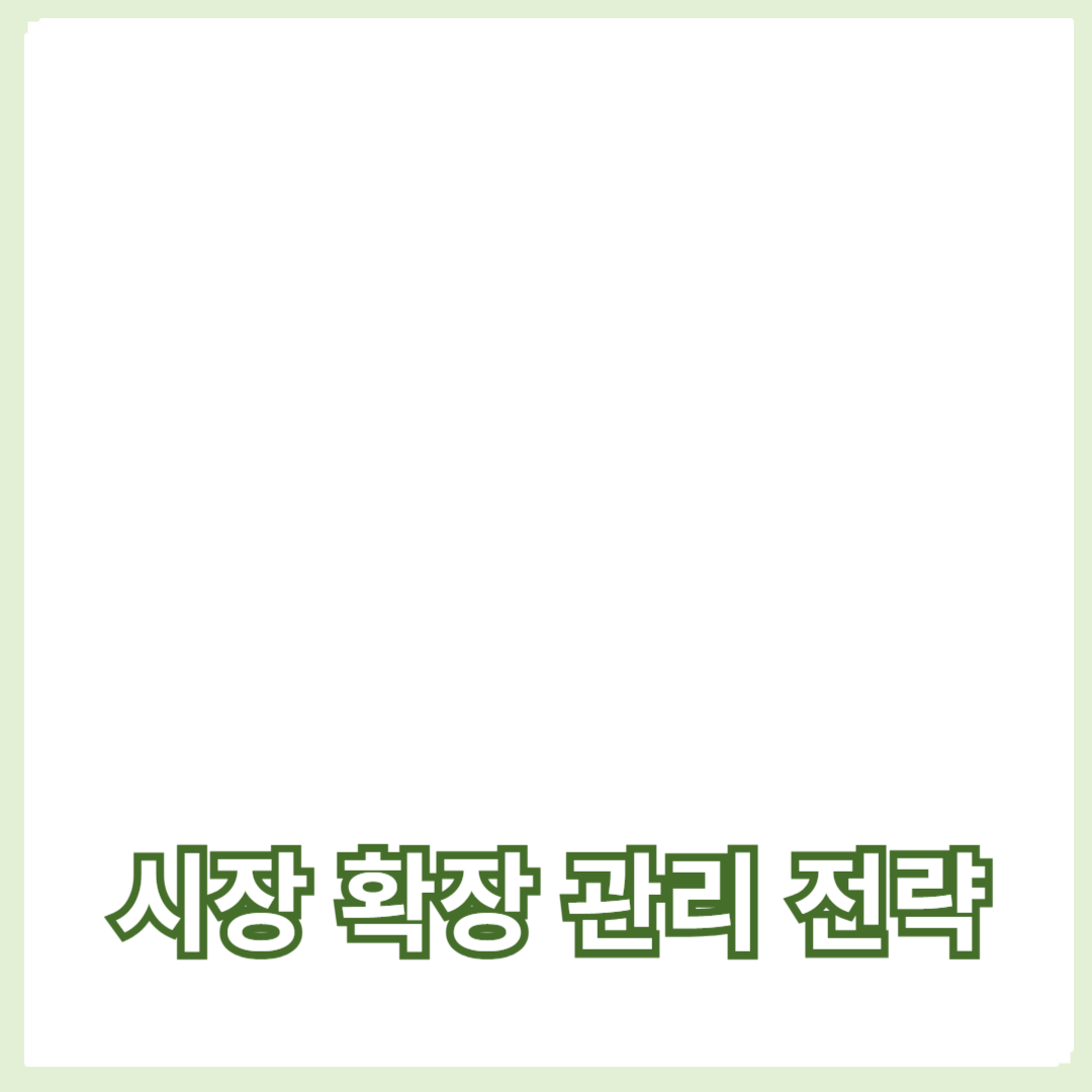 성공적인 기업을 위한 시장 확장 관리 전략