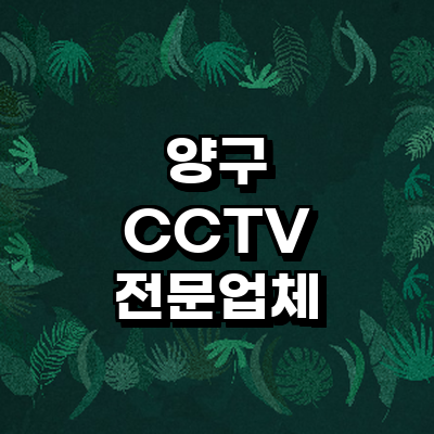 양구군 cctv