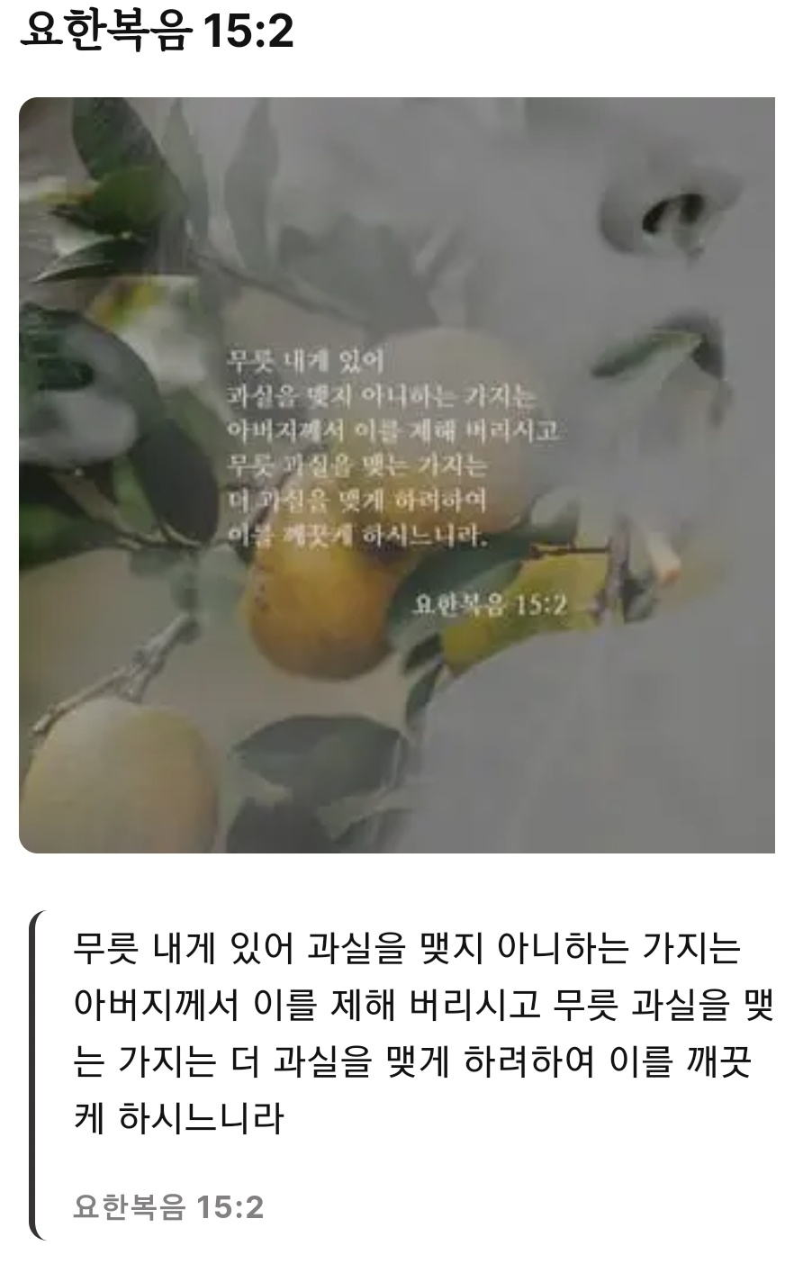 요한복음-15장-2절