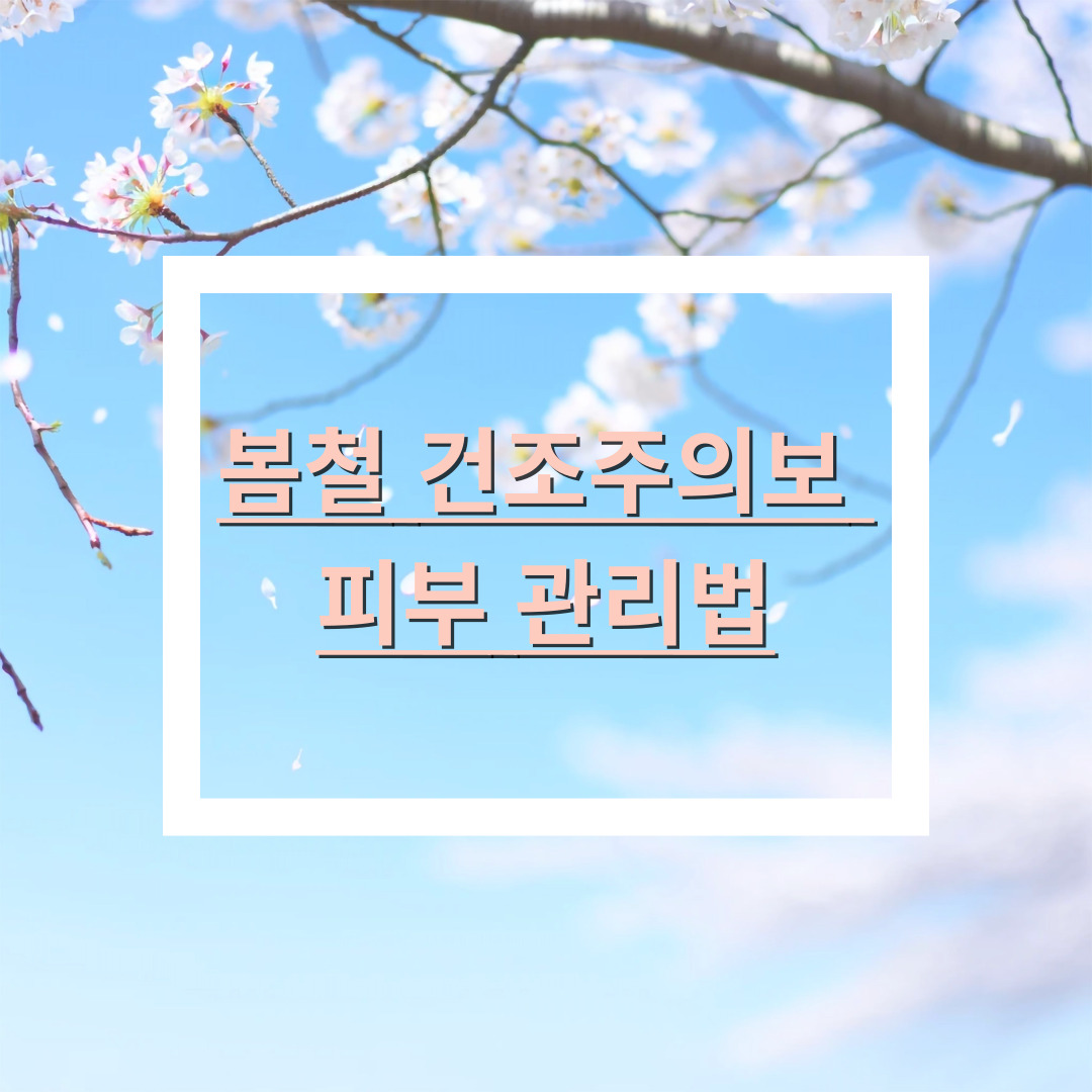 봄철 건조주의보 피부 관리법