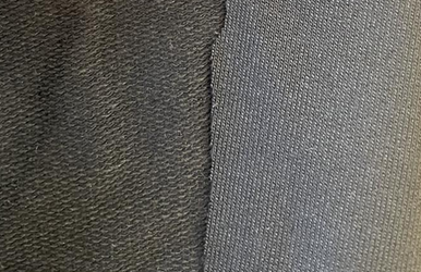 미니쮸리 프렌치 테리