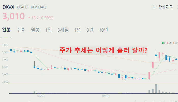 비만치료제 관련주 대장주 테마주 수혜주 TOP5 : 경구용
