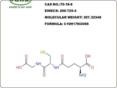 글루타치온 많이든 음식