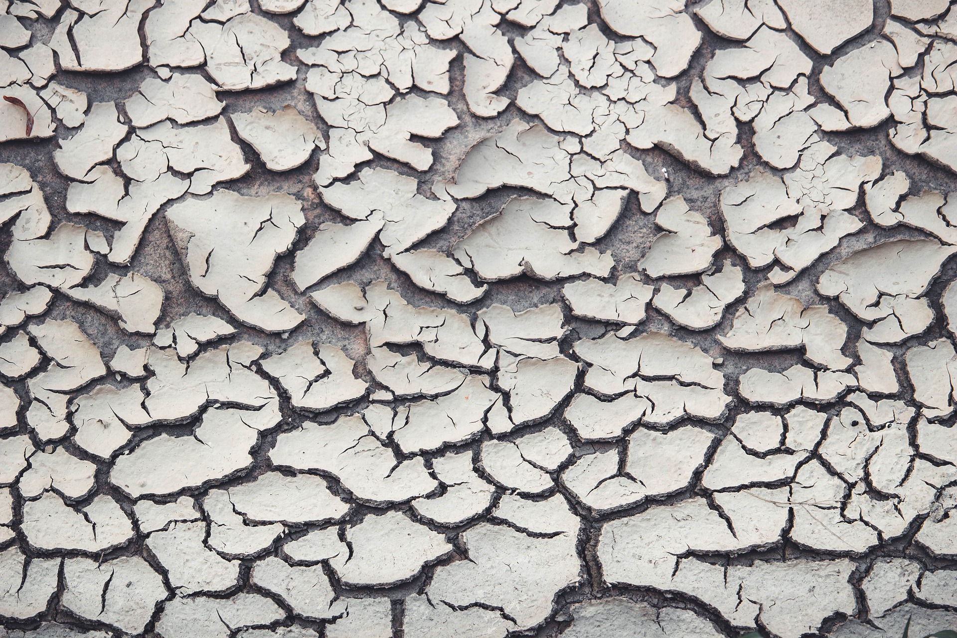 간 수치(AST&amp;#44; ALT&amp;#44; 감마지티피)가 높게 나오는 이유