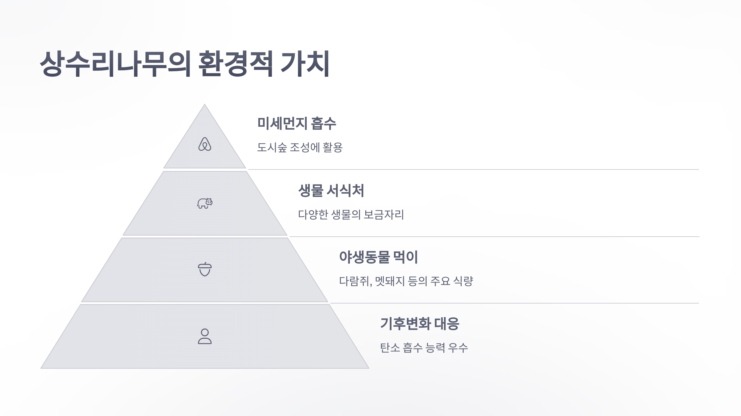 참조-상수리나무-5