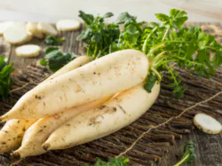 신장에 좋은 음식