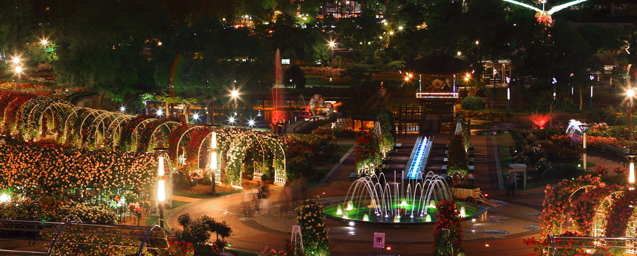 2025 곡성 세계 장미 축제 (장미, 봄꽃, SNS)