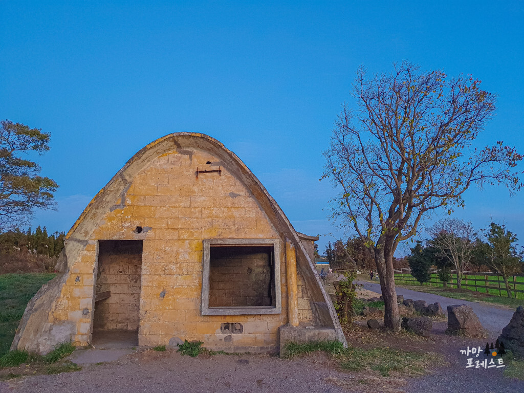 제주 성이시돌 목장 테쉬폰