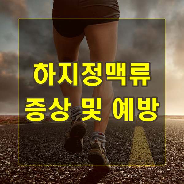하지정맥류 증상