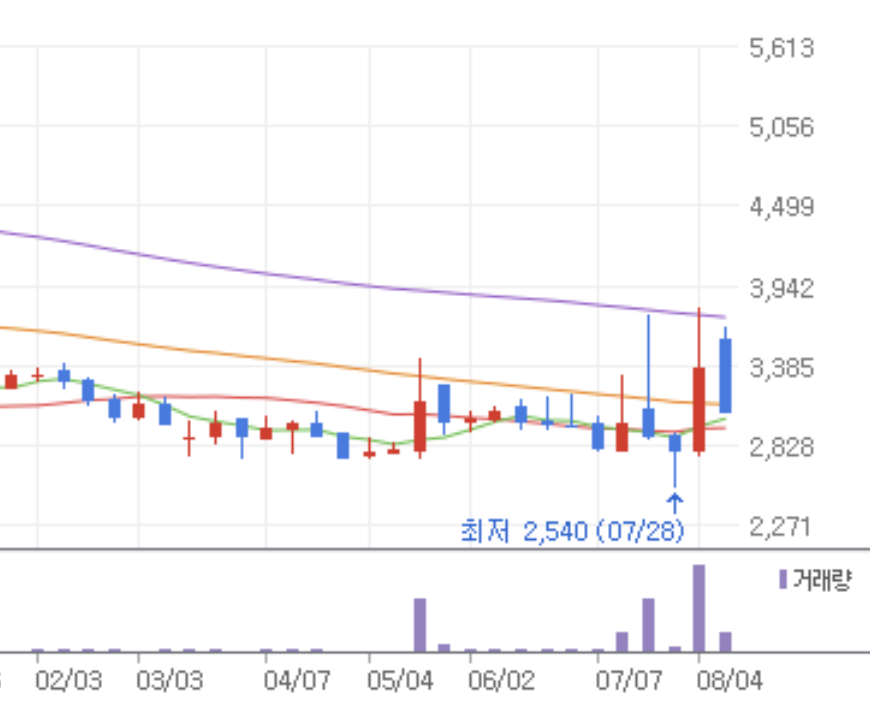 웰크론-월봉차트