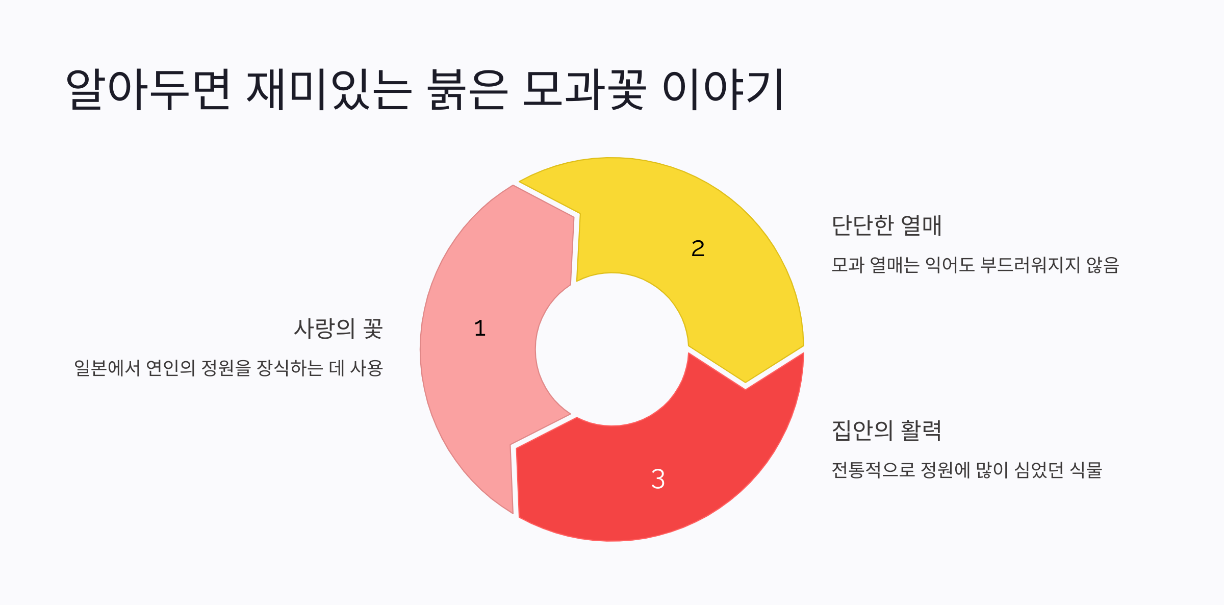 모과꽃 도표