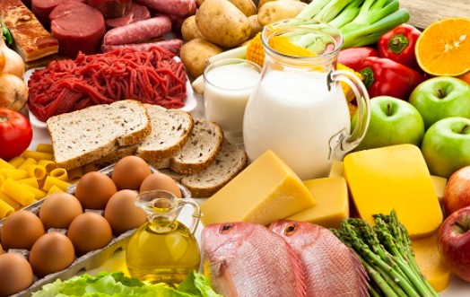 단백질이 풍부한 식품