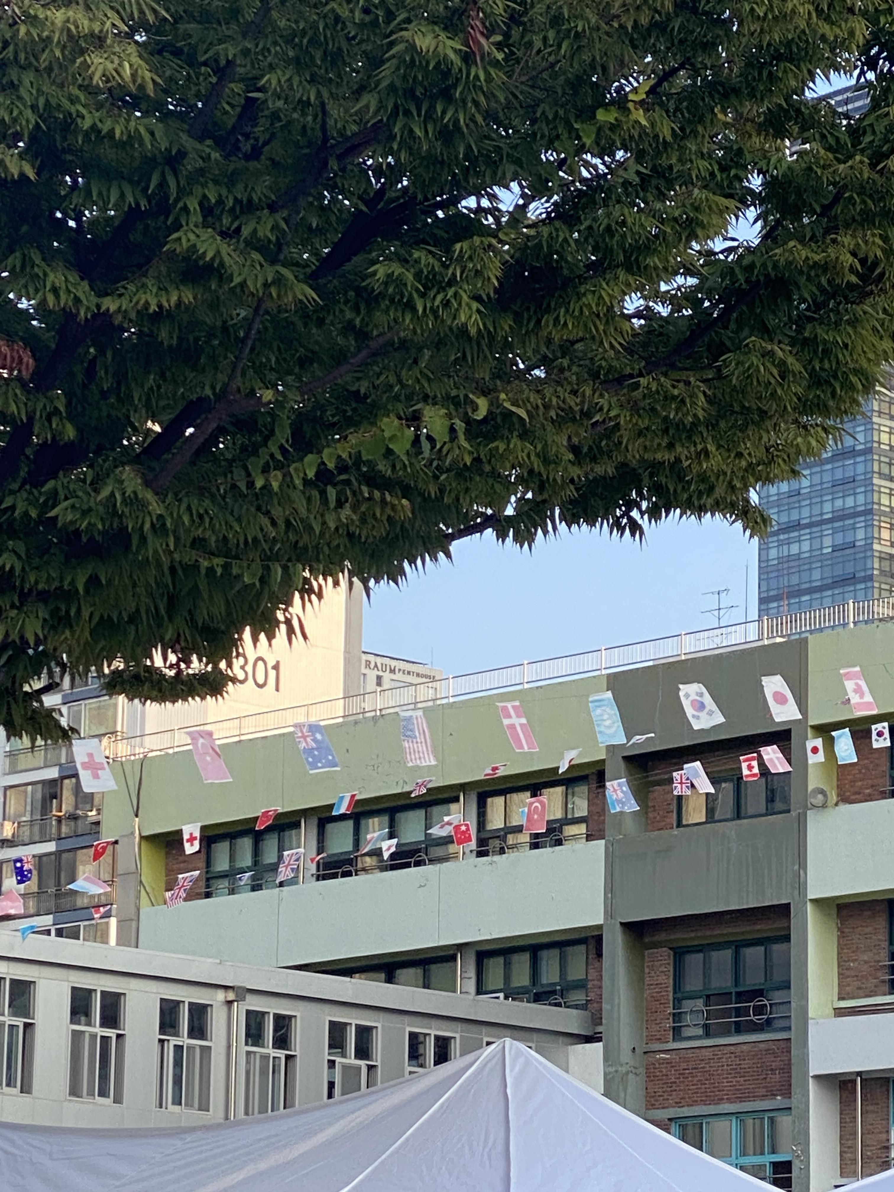 Alt 속성 문제 해결 설명 이미지