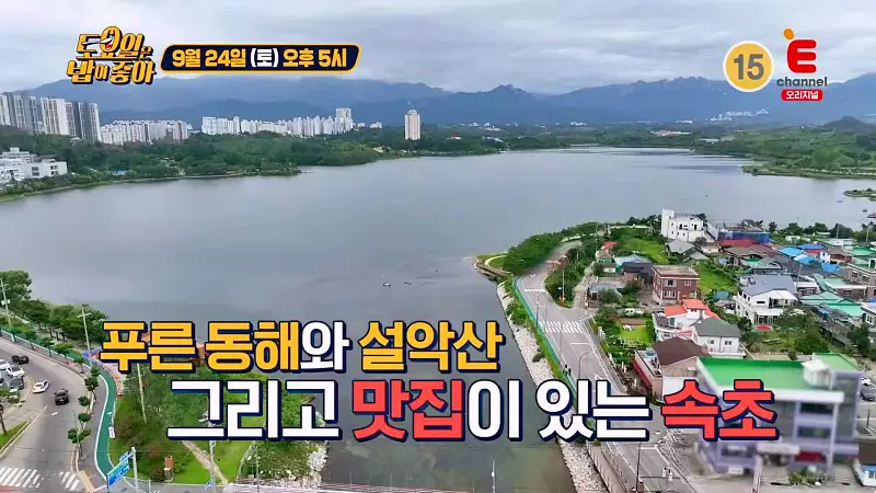 토요일은 밥이좋아 토밥 부드러운 가자미 생선에 감칠맛 폭발하는 육수까지 가자미조림 동해 바다 속초 맛집 추천 토밥즈 방송정보