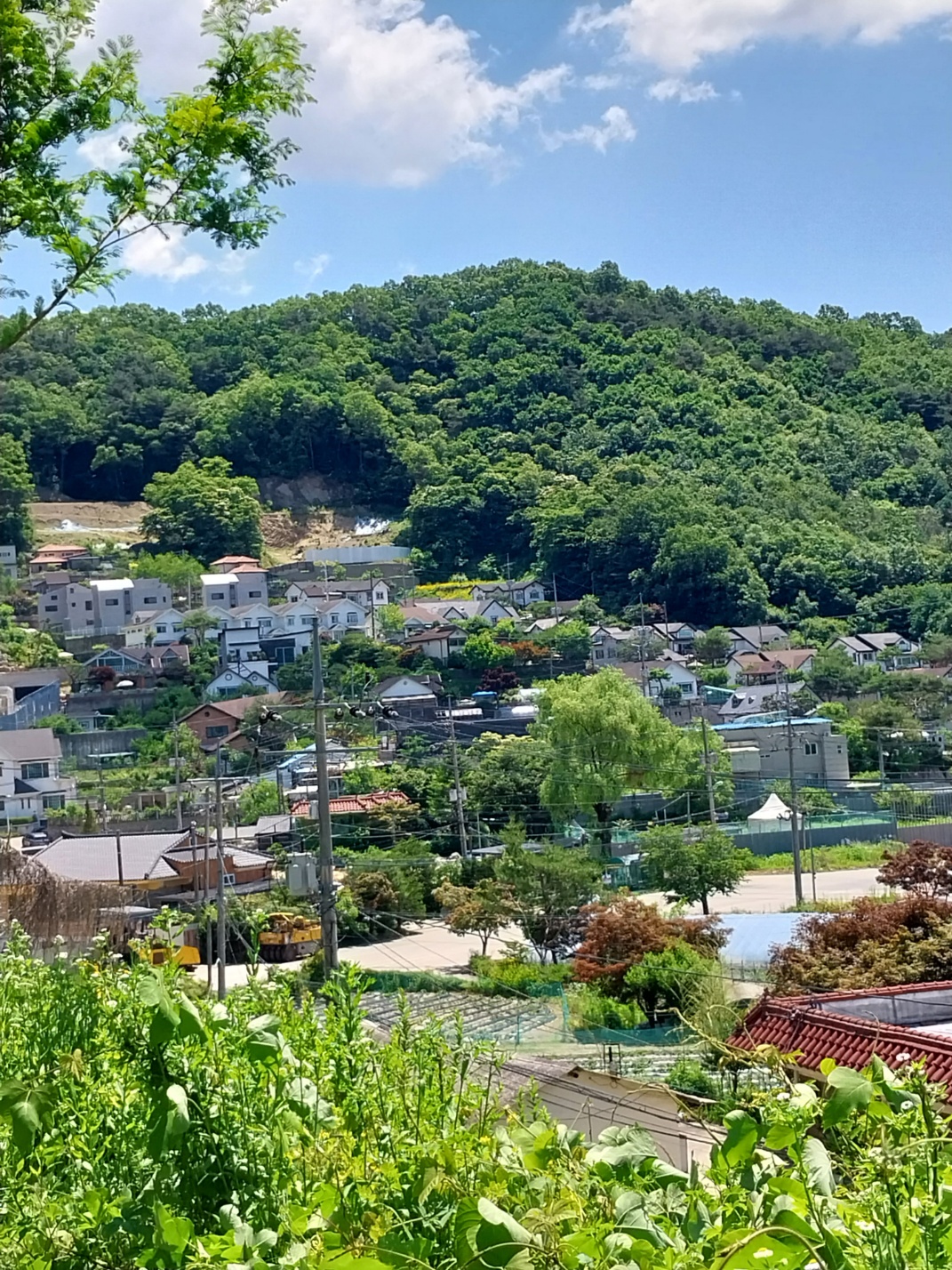 서울 근교 누구나 자전거와 걷기에 좋은 길