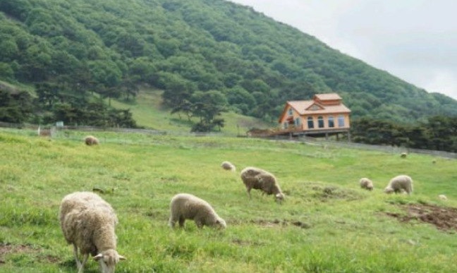 2025 가을 전라도 단풍 명소 BEST ❘ 내장산&middot;지리산&middot;백암산 절정 시기 &amp; 코스