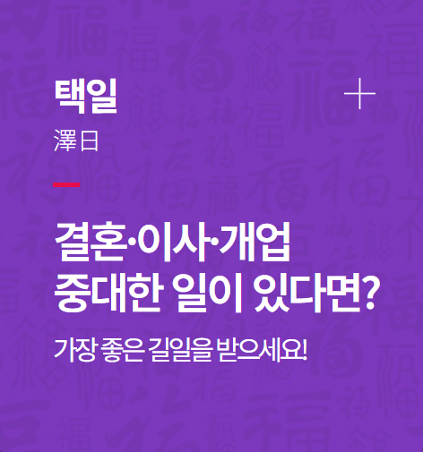 무료 신년운세 추천