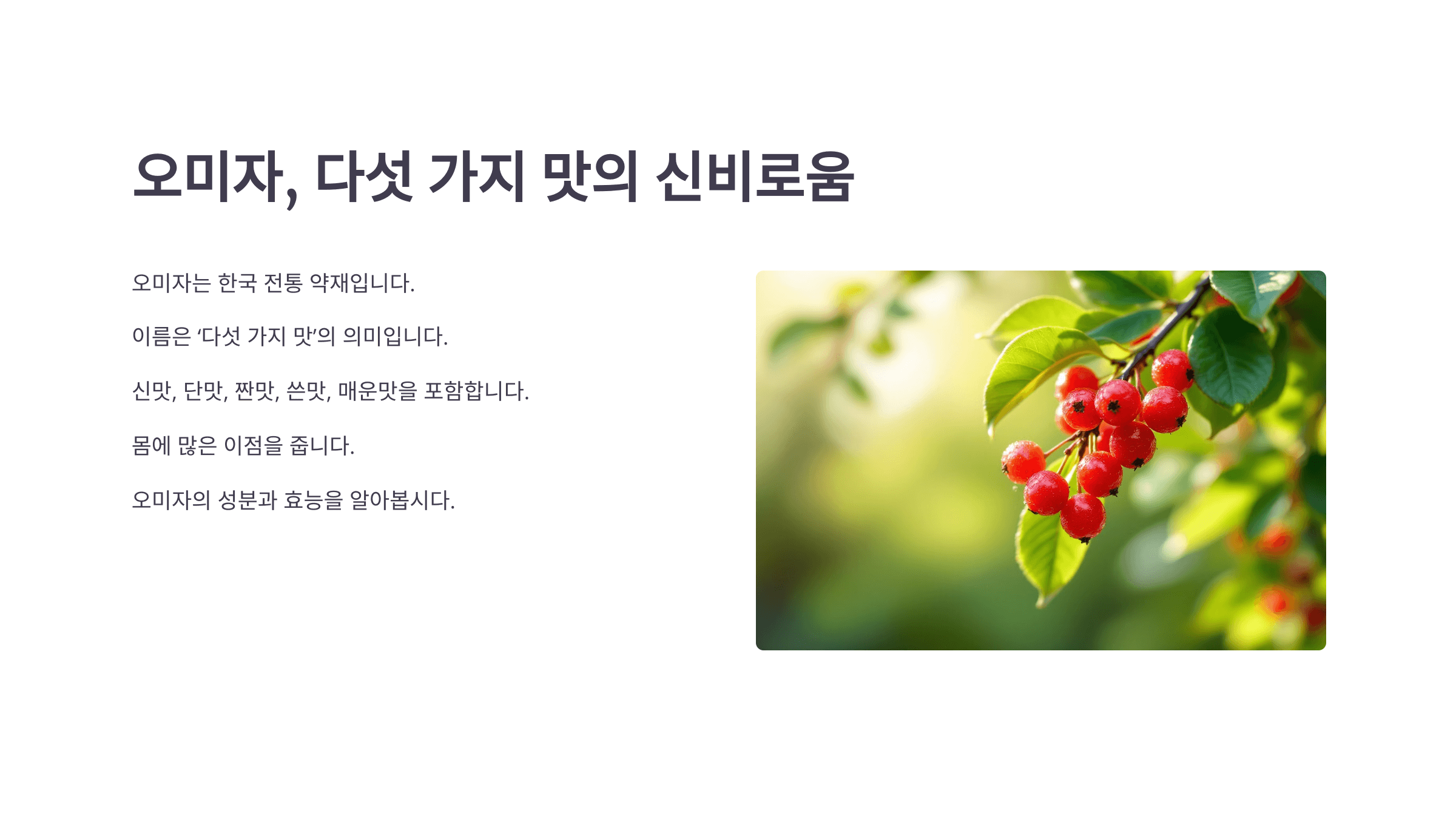 오미자 효능과 관련된 사진입니다.