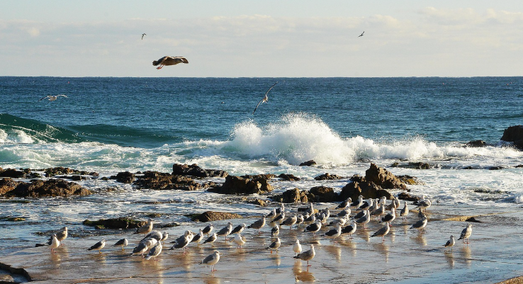 산과 바다 힐링 여행지 관련 사진