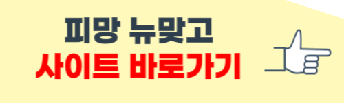 피망 뉴맞고 바로가기 (설치하기)