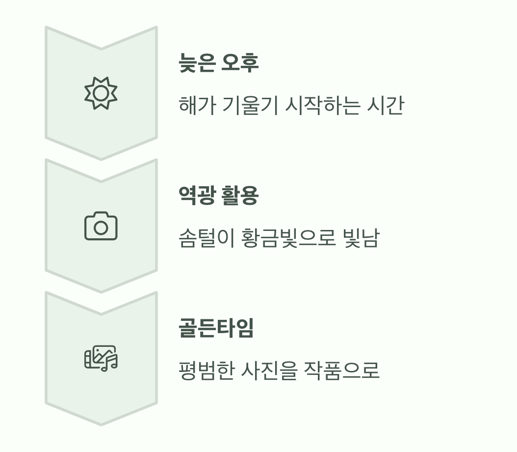 인생샷을 위한 마지막 한 스푼, 햇살