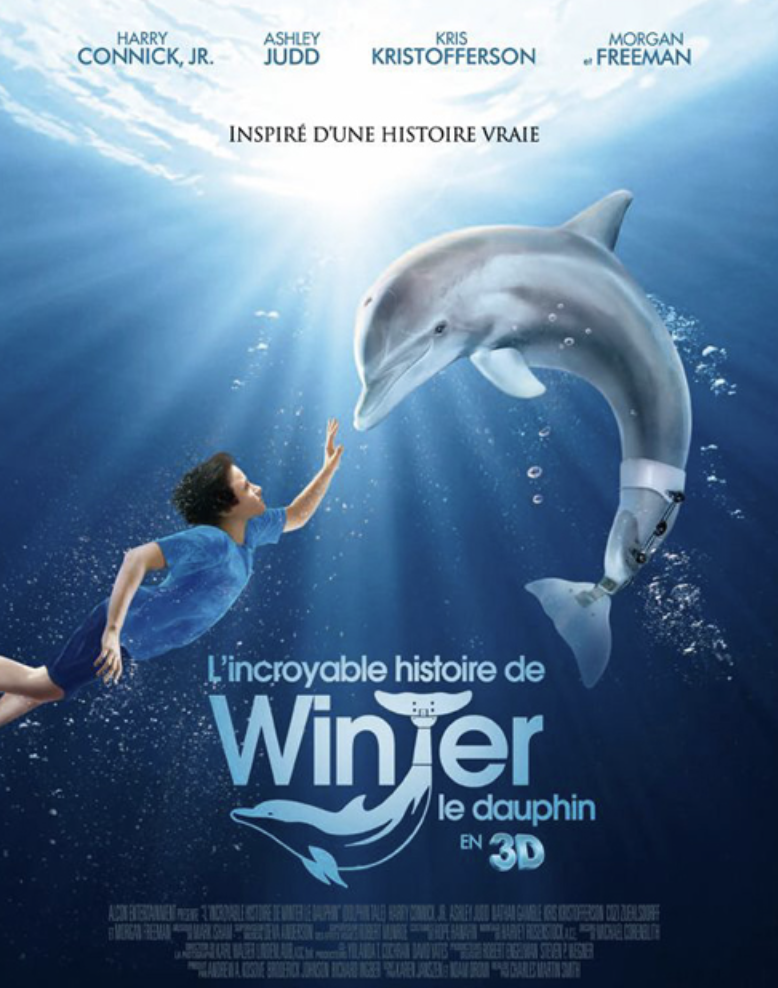 돌핀 테일 (Dolphin Tale, 2011)