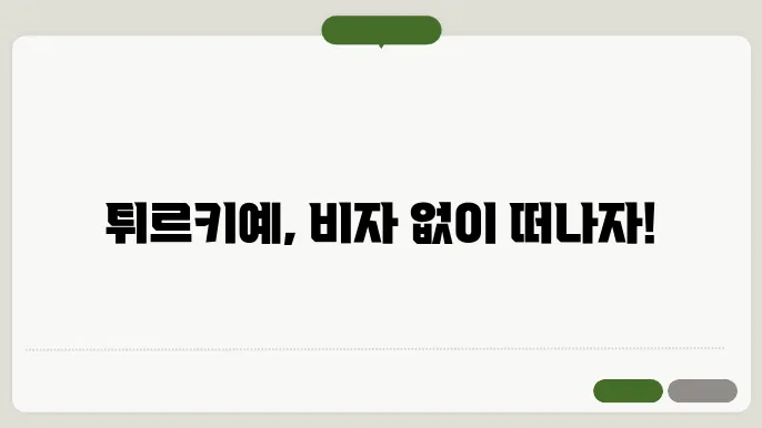 튀르키예 여행 비자