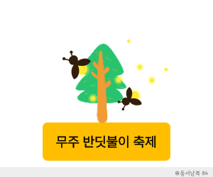 무주 반딧불 축제