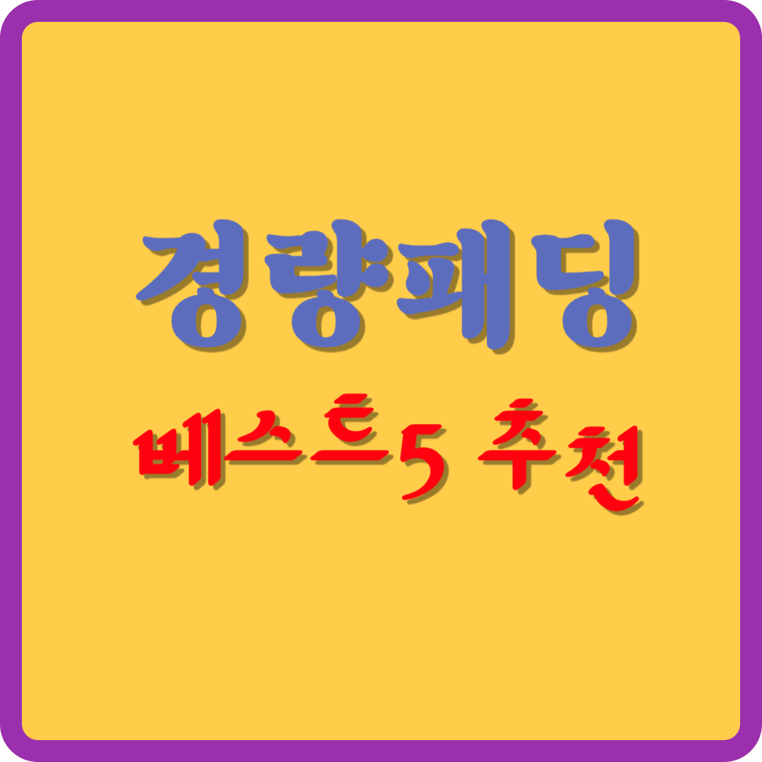 겨울철 필스템, 따뜻한 경량패팅 베스트5 추천