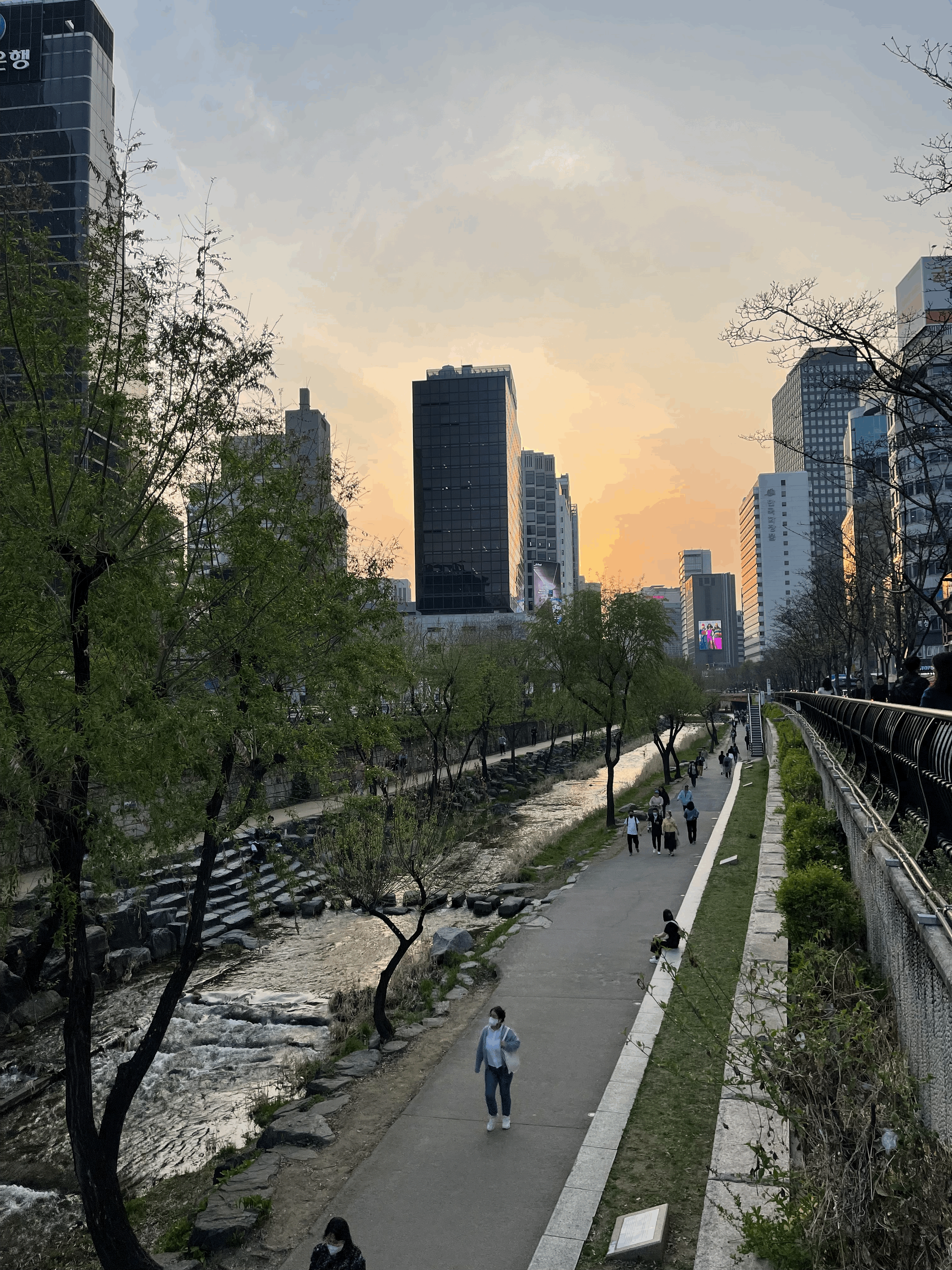 동대문구 러닝코스 관련 사진