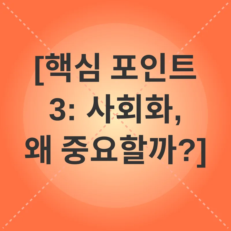 고양이 사회화_3