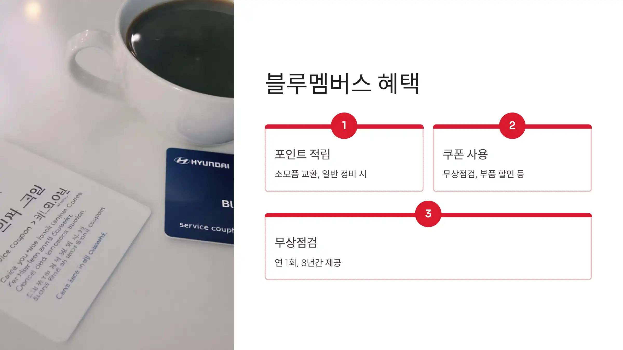 블루멤버스 포인트 활용과 혜택