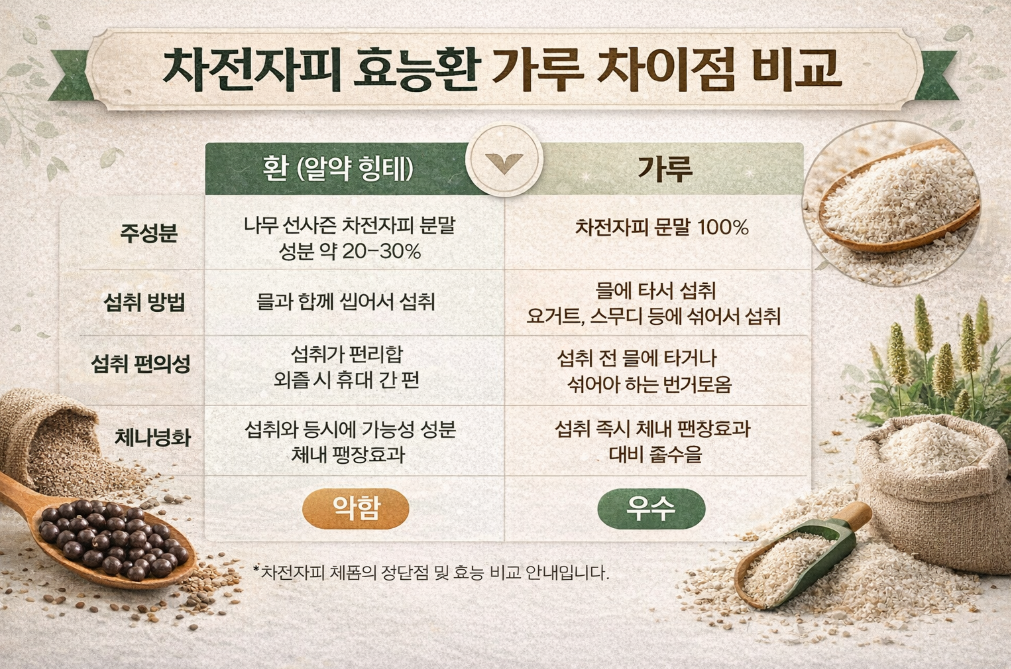 차전자피 환 vs 가루 효능 차이점 3분 완벽 분석