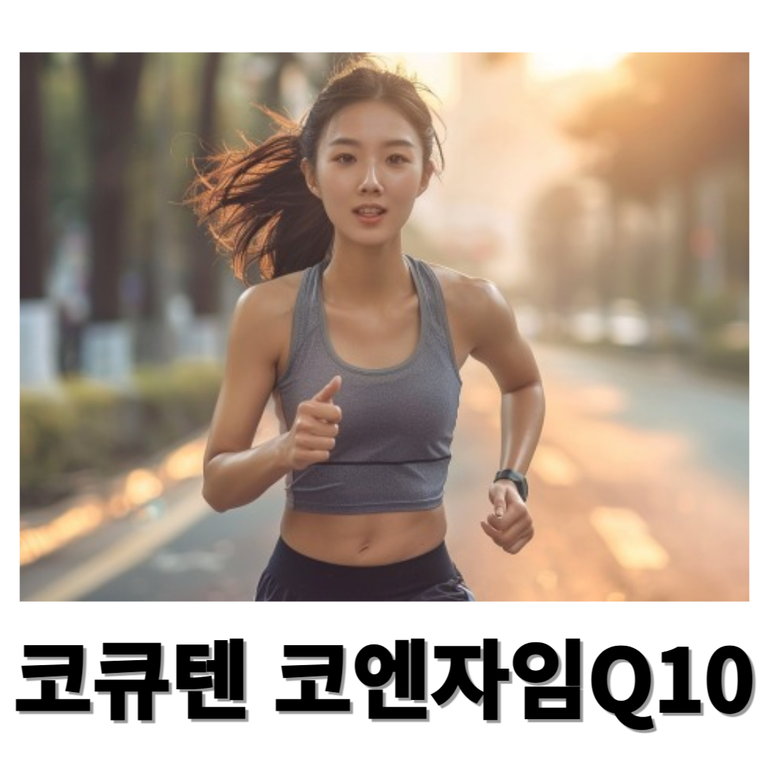 코큐텐과 관련된 사진입니다.