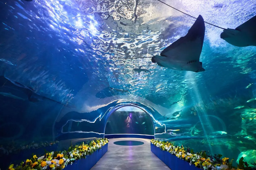 2025 여수 여행 완벽 가이드 - 숨은 명소부터 맛집까지!