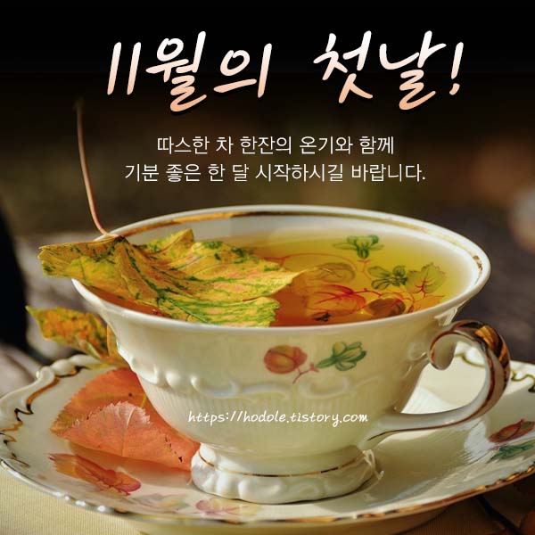 11월-첫날-인사말-이미지